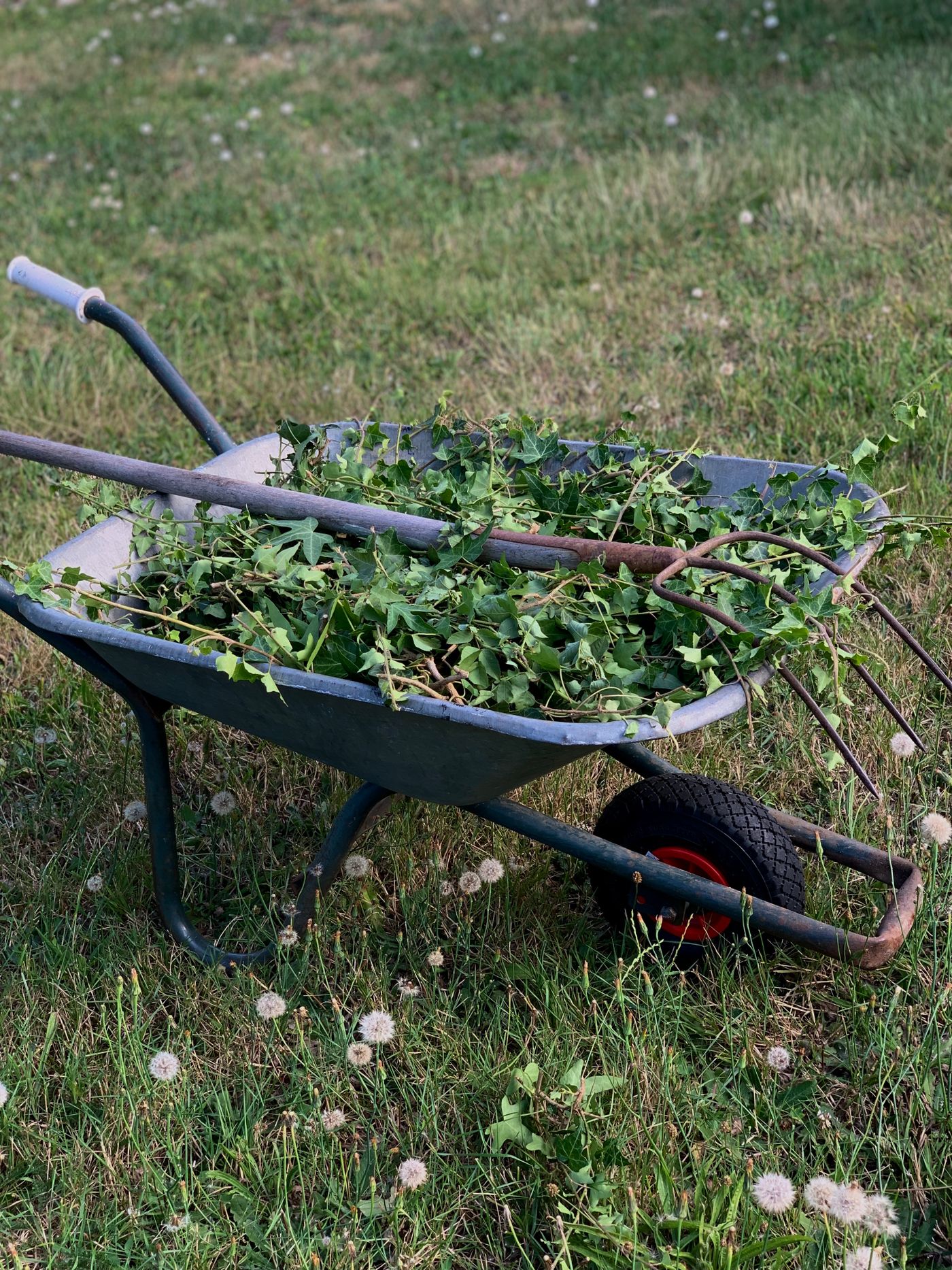 Gardening & Property Maintenance