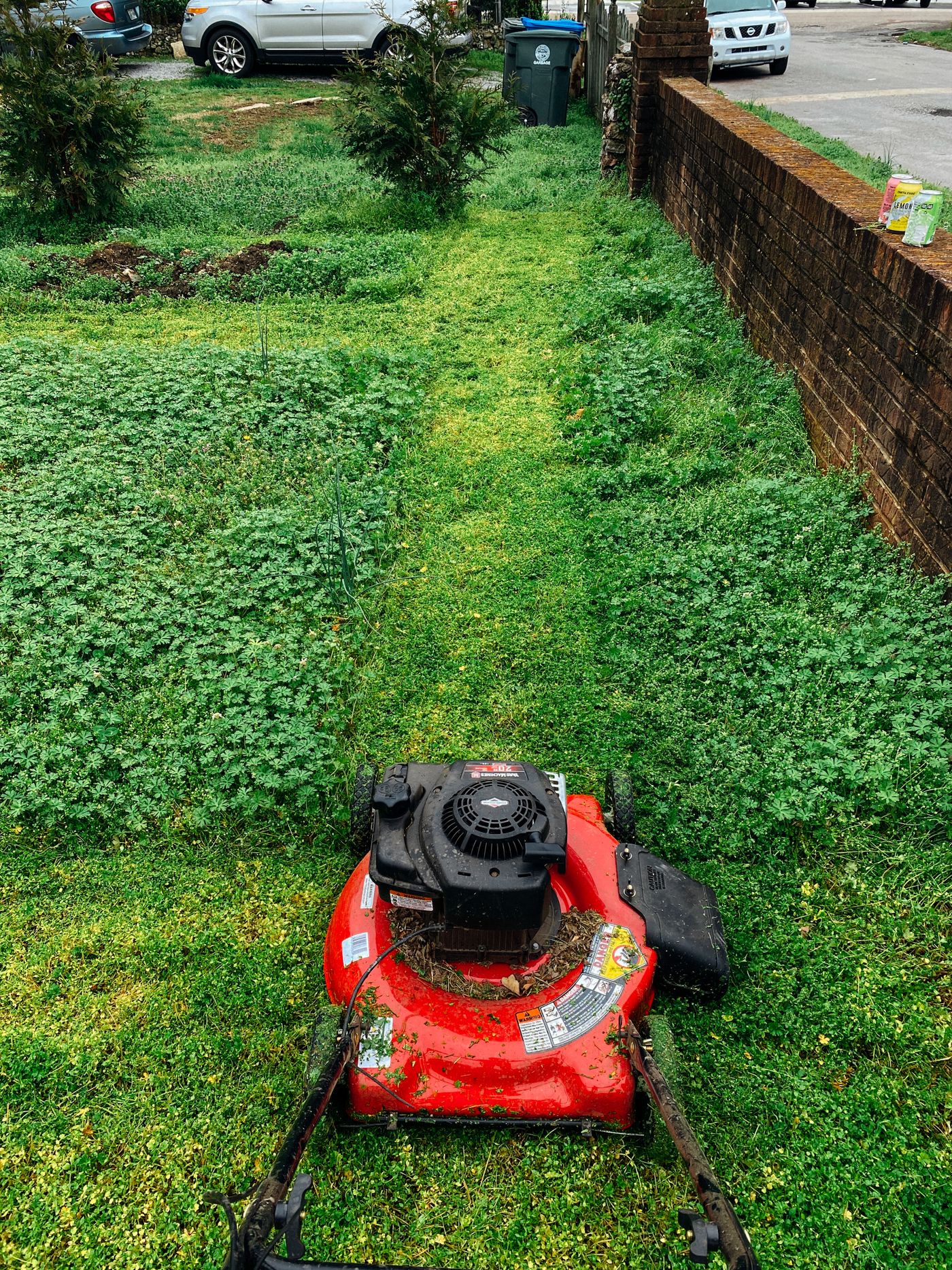 Lawn Care & Lawn Renovation