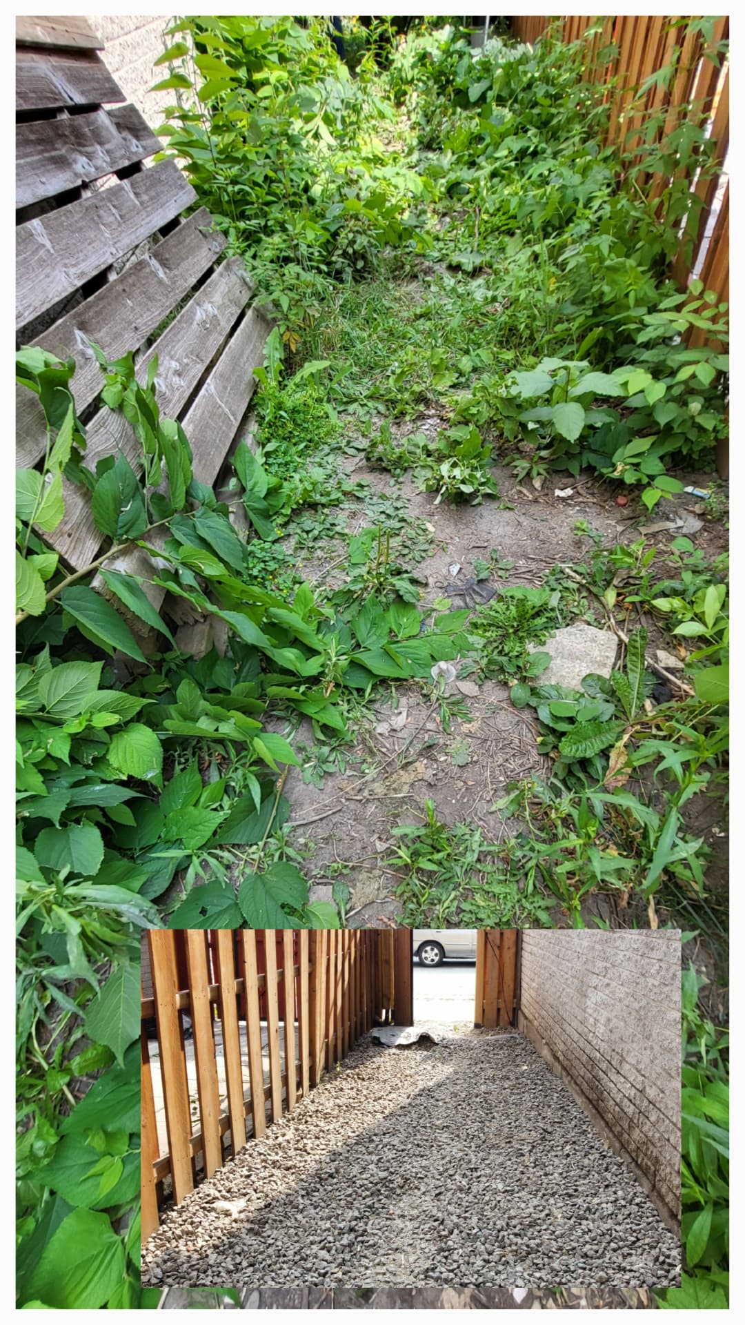 Overgrown side passage cleared and finished in gravel