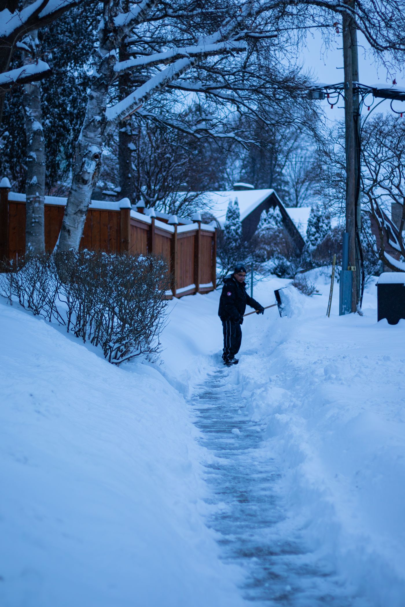 Snow Removal