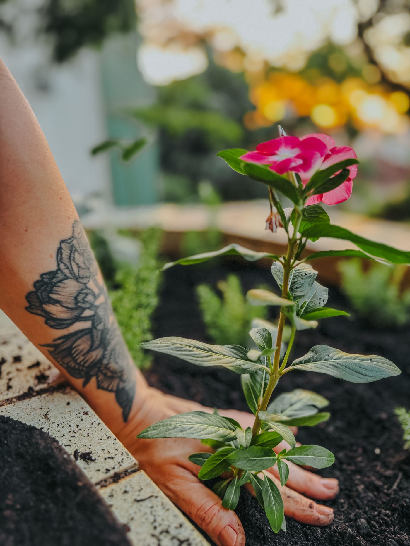 Planting & Garden Design