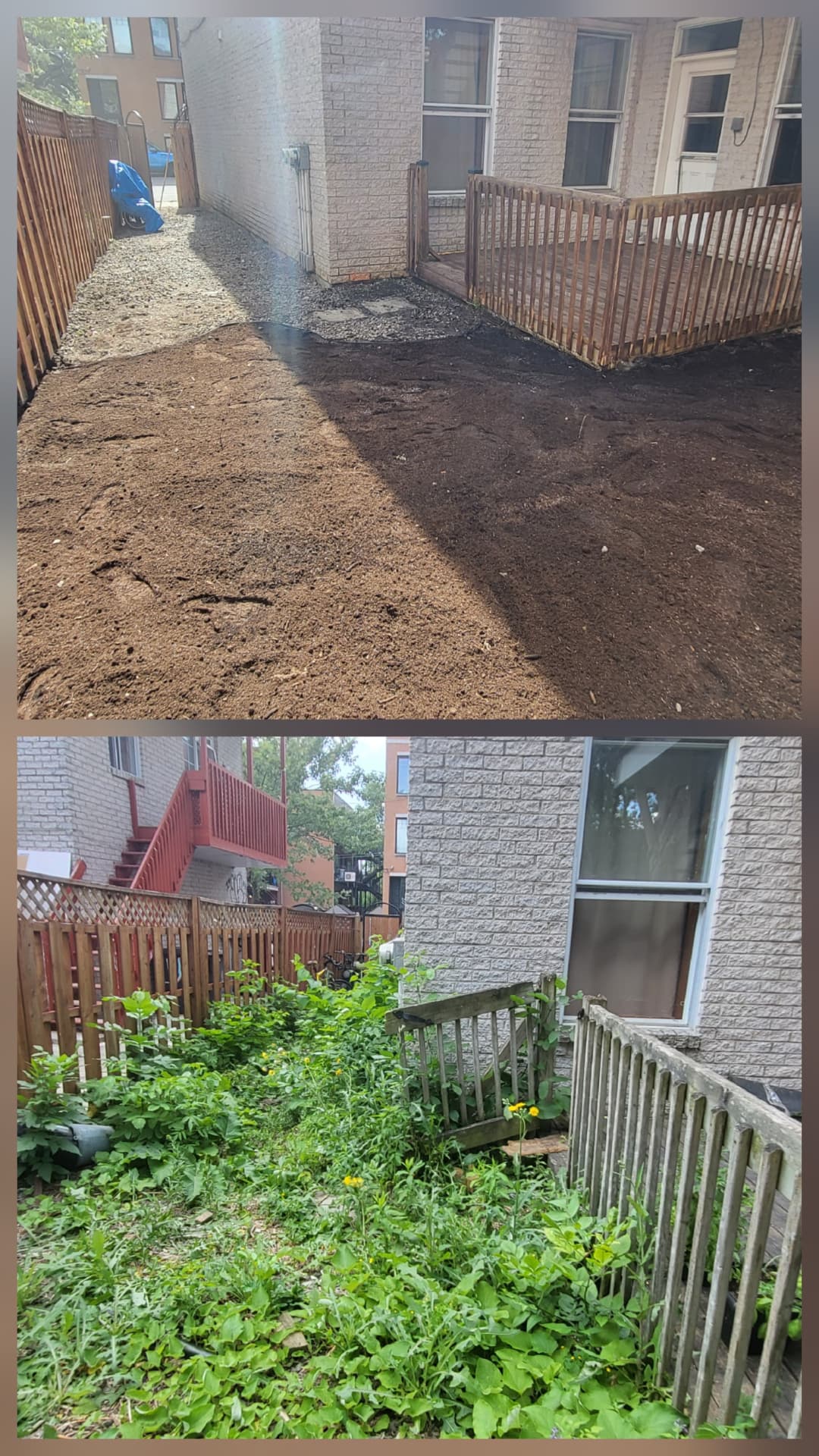 Weed-covered yard cleared, graded and topped with fresh soil